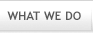 What We Do