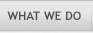 What We Do