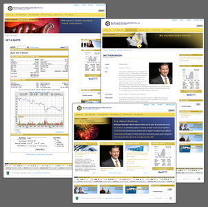 3Macs 2008 Website